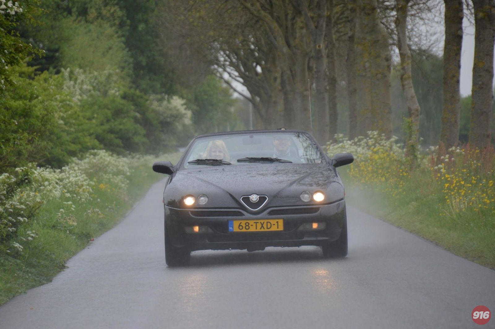 Spideren In De regen