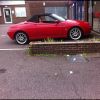 image (3)