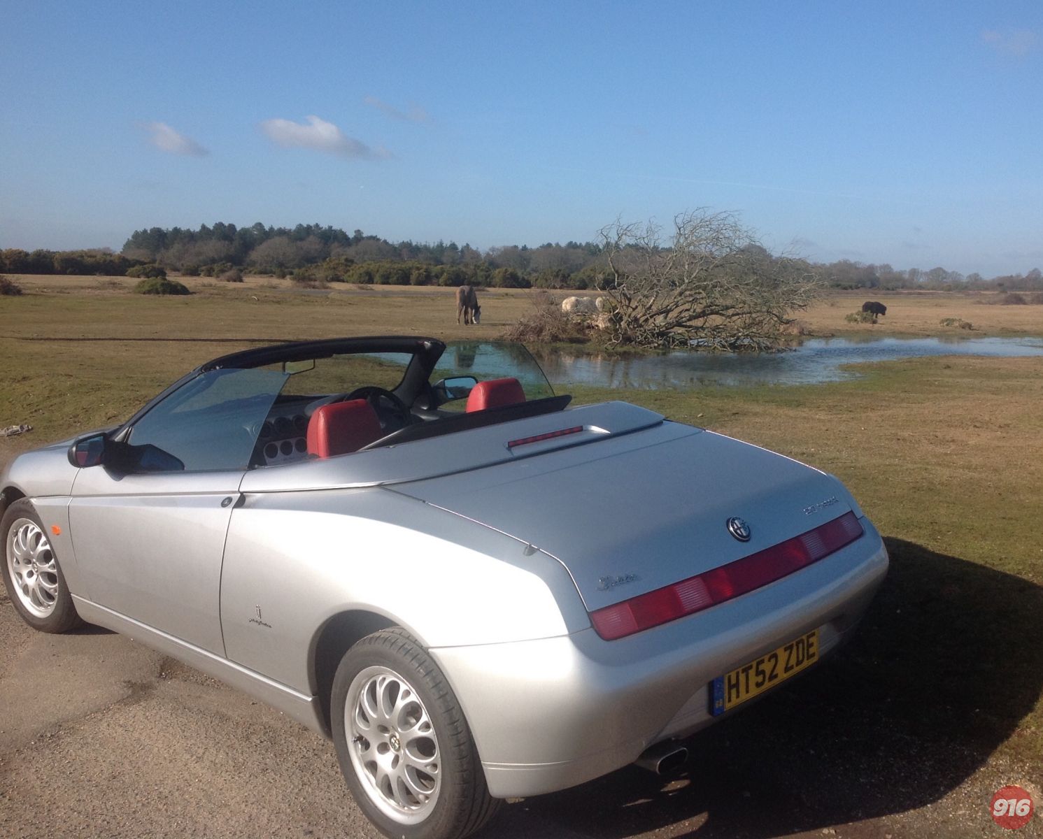 Spin in the New Forest