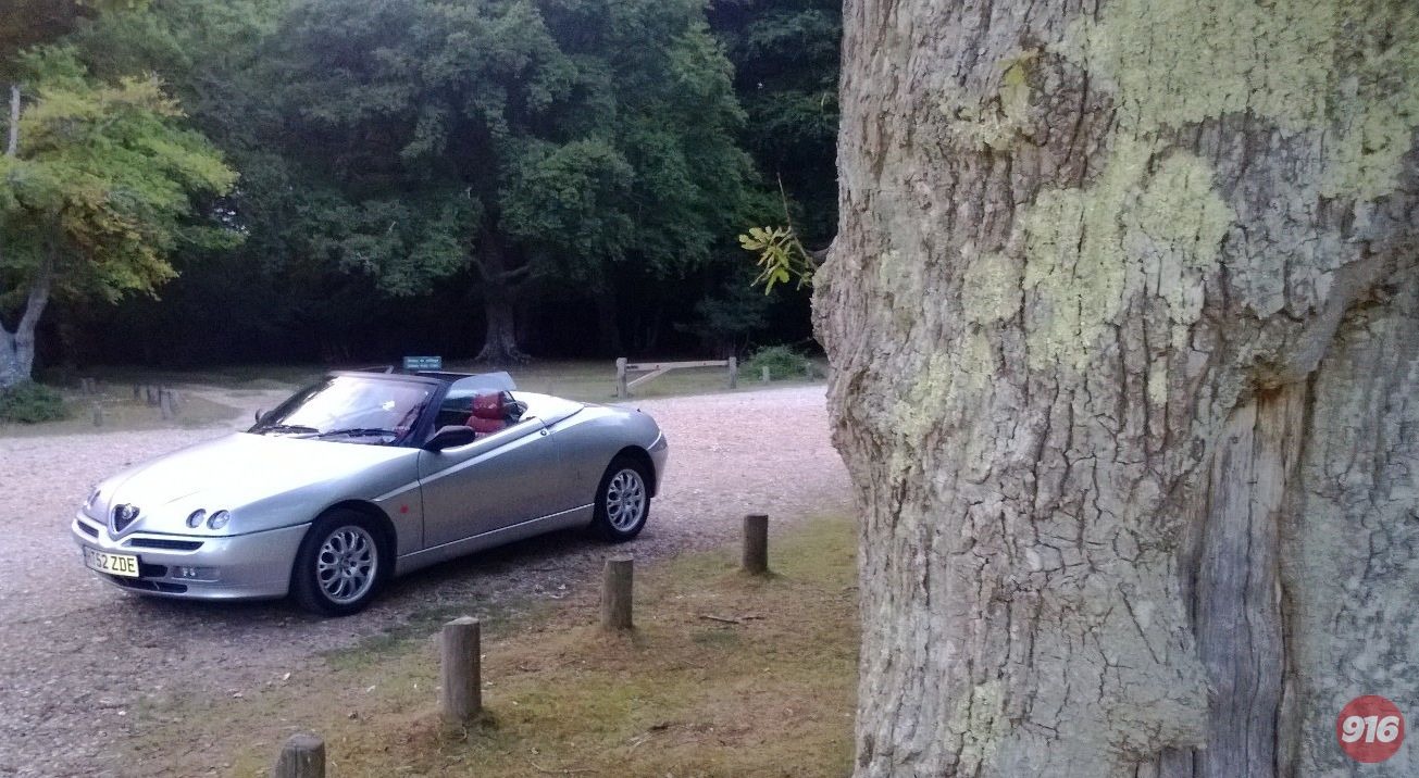 Verwood Spider at Rufus Stone