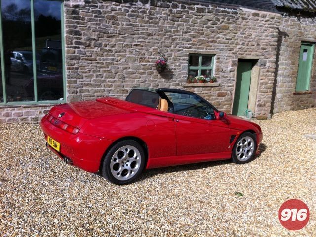 99 T Spark spider , While the English sun was shining