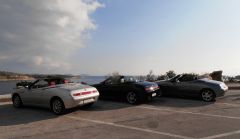 3 Spiders next to the sea