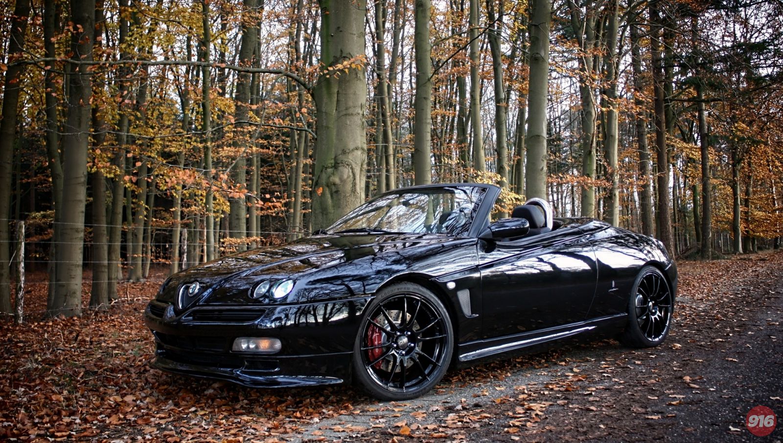 Autumn shoot November 2013