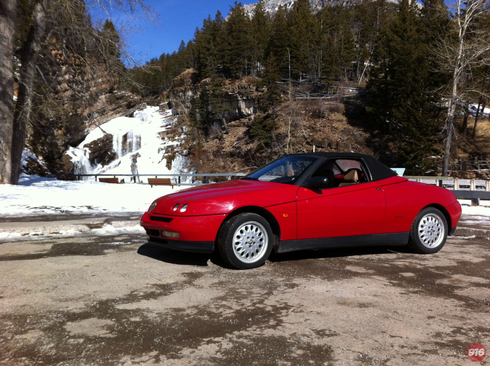 Mark Oliver 96 916 Spider