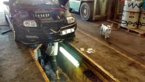 post-1032-0-93477000-1435437176_thumb.jp