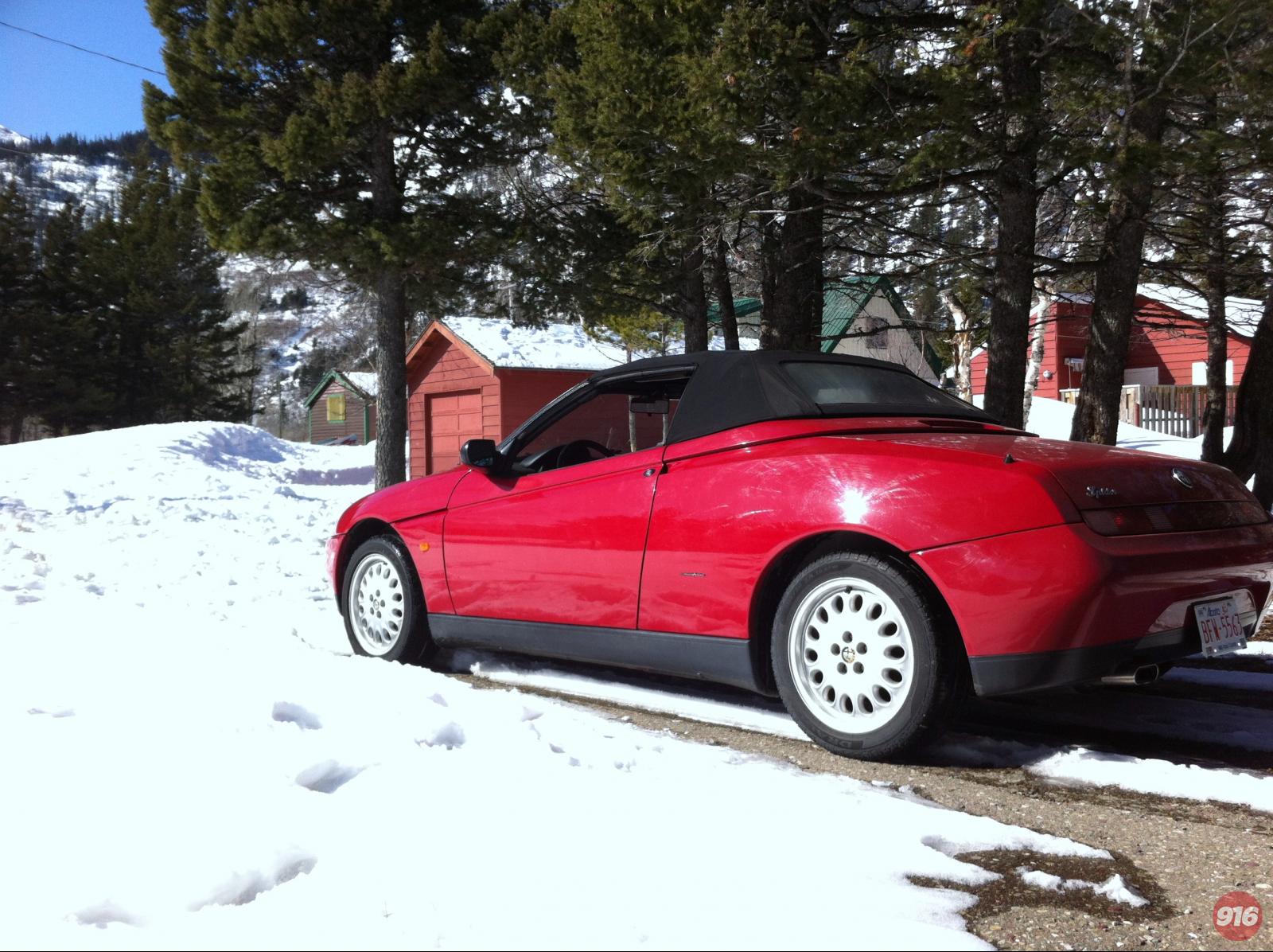 Road to cabin still snowed in.