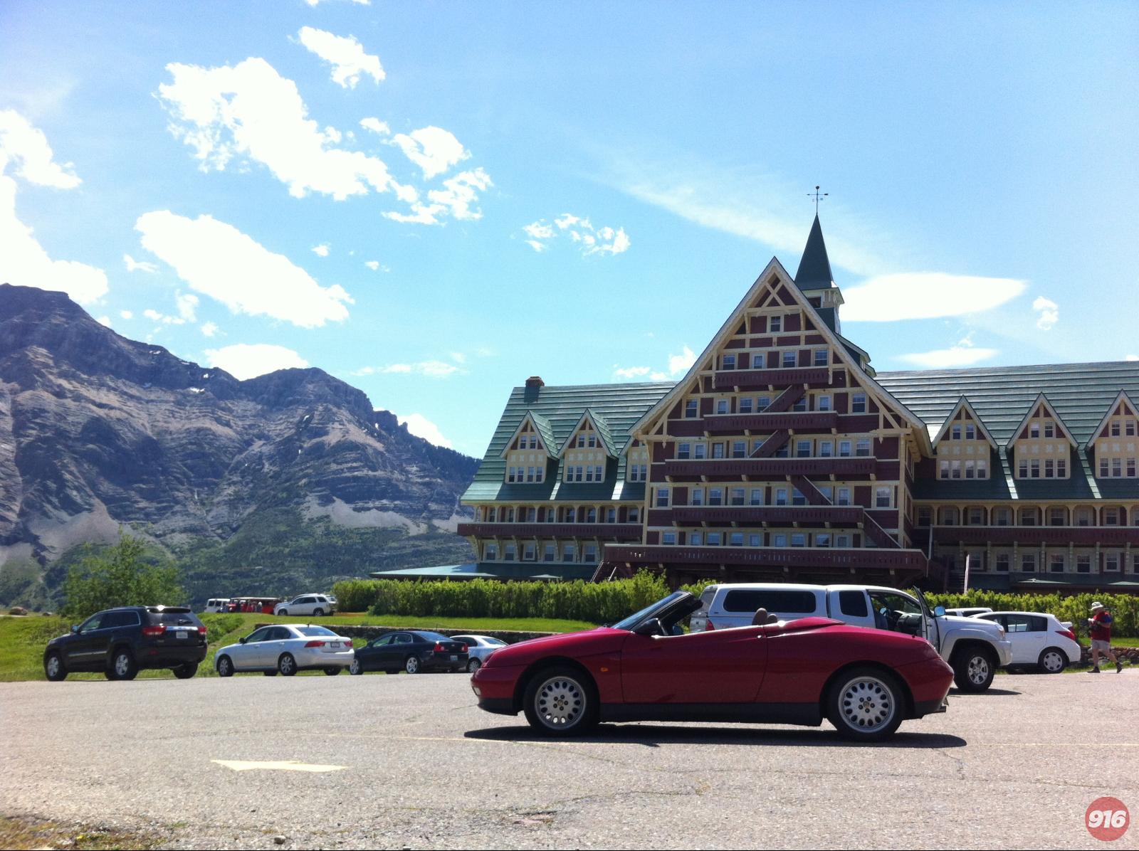 Spider in Canada eh!