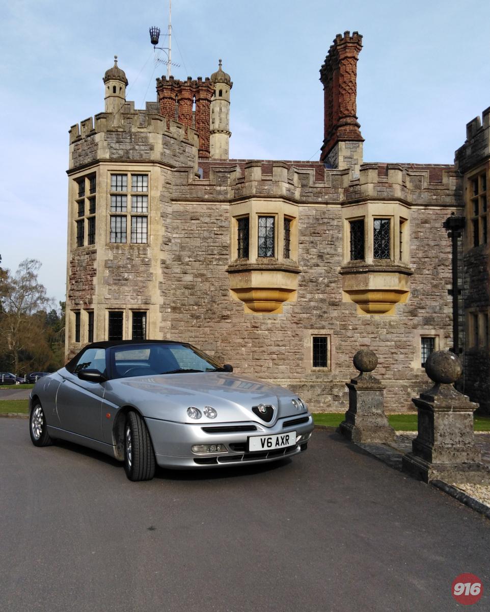 Spider at Rhinefield House Hotel, New Forest, UK