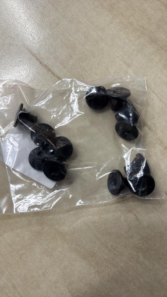 side skirt plastic nuts.JPG